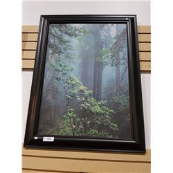LARGE FOREST PRINT 28" X 38"