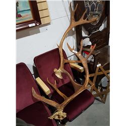 PAIR ELK ANTLERS