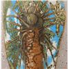 Image 5 : Original Painted Palm Branch