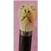 Image 2 : Dog Head Cane