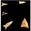 Image 8 : San Diego County Arrowheads