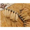 Image 4 : 2 Polynesian Grass Skirts w/Helm COA