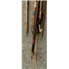 Image 10 : Bow & Arrows w/Quiver