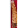 Image 2 : Large Eskimo Hand Axe