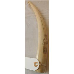 Victorian Scrimshaw