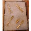 Image 1 : 4 Victorian Brushes & 2 Glove Stretchers