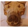 Image 2 : Carved Animal Skull