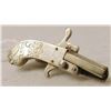 Image 2 : World's Smallest Pistol