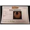 Image 8 : Large Mayan Crescent Eccentric w/Jackson COA