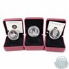 Image 1 : RCM Lot: 3x Canada Proof Silver Dollars in Maroon RCM Display Boxes. You will receive 2007, 2010 & 2