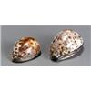 Image 1 : Two Victorian Silver Mounted Cowrie Shell Snuff Boxes, One, lacking maker's mark, Sheffield, 18...