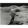 Image 1 : Dave Scott