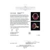 Image 5 : 11.51 ctw Ruby and Diamond Ring - 14KT Rose Gold