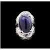 Image 2 : Sterling Silver 22.04 ctw Tanzanite Ring