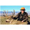 Image 1 : Five Day Archery Mule Deer Hunt for One