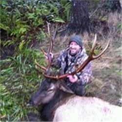 Spot and Stalk Six Day Archery Elk Hunt for One