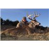 Image 1 : Five Day Archery Rut Hunt for Whitetail Deer for One