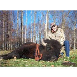 One Day Hunt for a nice Bison "Buffalo"