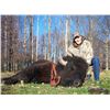 Image 1 : One Day Hunt for a nice Bison "Buffalo"