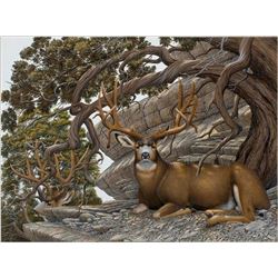 30" x 40" framed wildlife print