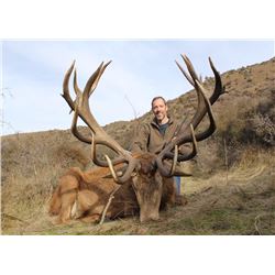 Three Day Hunt for Red Stag for One Hunter and One Non-Hunter