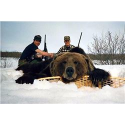 Ten Day Hunt for Brown Bear, Spring 2017