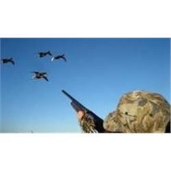Three Day/Three Night Duck Hunting for Three Hunters