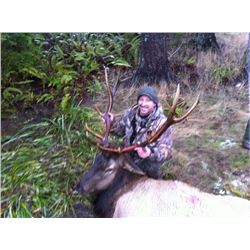 Spot and Stalk Five Day Rifle Elk Hunt for Two