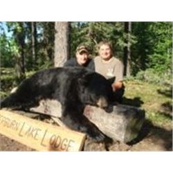 Six Day Bear Hunt for One at our drive in camp