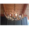 Image 1 : White Tail Antler Chandelier