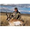 Image 1 : 3 Day Colorado Antelope Hunt