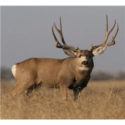 Utah State Conservation Tag # 26 Buck Mule Deer, Book Cliffs Unit, Any Weapon