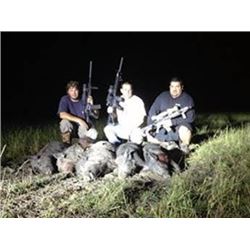 Night Vision Texas Hog Hunt for 4 hunt- ers with Warhawgs