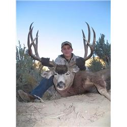 Utah State Conservation Tag #48, Buck Mule Deer, Paunsaugunt Unit Any Weapon