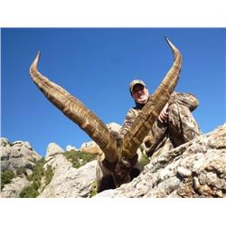 1 Hunter 1 Non Hunter, 4 day daily rates hunt for either Ibex, Spanish Red Stag, Fallow Deer or Mouf