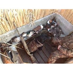 2 Hunters 1 Hunt, Utah Duck Hunt at Newstate Duck Club