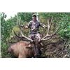 Image 1 : Utah State Conservation Tag # 168 Bull Elk, Wasatch Unit, Any Weapon