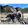 Image 1 : 2 Hunters, 5 Days, Arizona Coues Deer hunt with Wards Outfitters