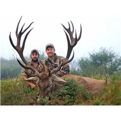 2 Hunters, 7 Days, Argentina big game with TGB Outfitters