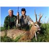 Image 1 : 1 or 2 Hunters, 3 Days Hunting, 3 Days Sightseeing, Serbia Roe Buck with Safari Unlimited