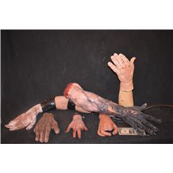 ARMS AND HANDS MISC SEVERED LIMB LOT