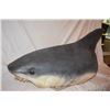 Image 1 : SHARKNADO SCREEN USED GREAT WHITE SHARK