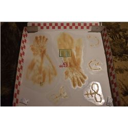 Z-CLEARANCE SCAR BURN CUT BOIL SLICE SILICONE TRANSFER LOT 02