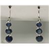 Image 1 : #20-14KT WHITE GOLD SAPPHIRE EARRINGS
