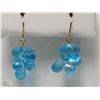 Image 1 : #32-14KT YELLOW GOLD BLUE TOPAZ EARRINGS