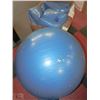 Image 1 : LOT OF 4 EXERCISE BALLS