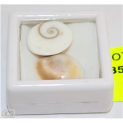 91) NATURAL SHIVA'S EYE 2PCS - NO TREATMENT