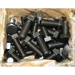 LARGE XYLX BLACK 10.9 BOLTS