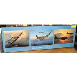 WILLIAM S PHILLIPS "THE GLORY OF FLIGHT "