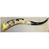 Image 1 : PAINTED LONGHORN AND SIGNED DECORATION